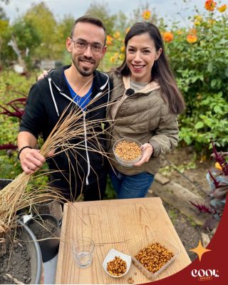 🌾✨ Poznáte rastlinu, ktorá skrýva malé sladké poklady pod zemou? 🥜💛 Volá sa šáchor jedlý – alebo, ako ju poznajú gurmáni,...